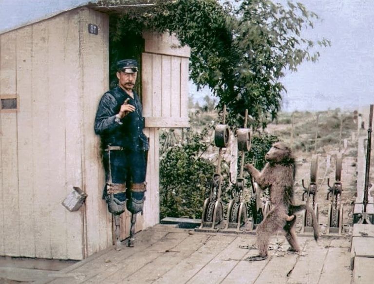 JACK THE BABOON: A REMARKABLE TALE