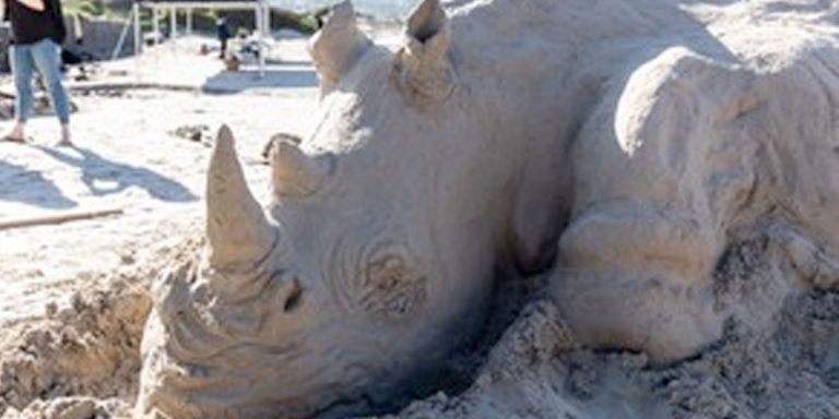 Video: Meet Hout Bay’s Super Sandman